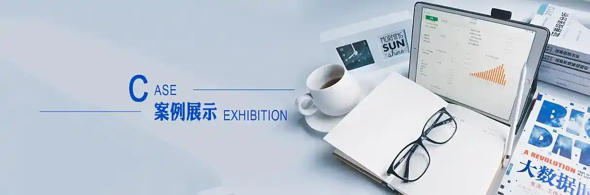 大观区软件开发